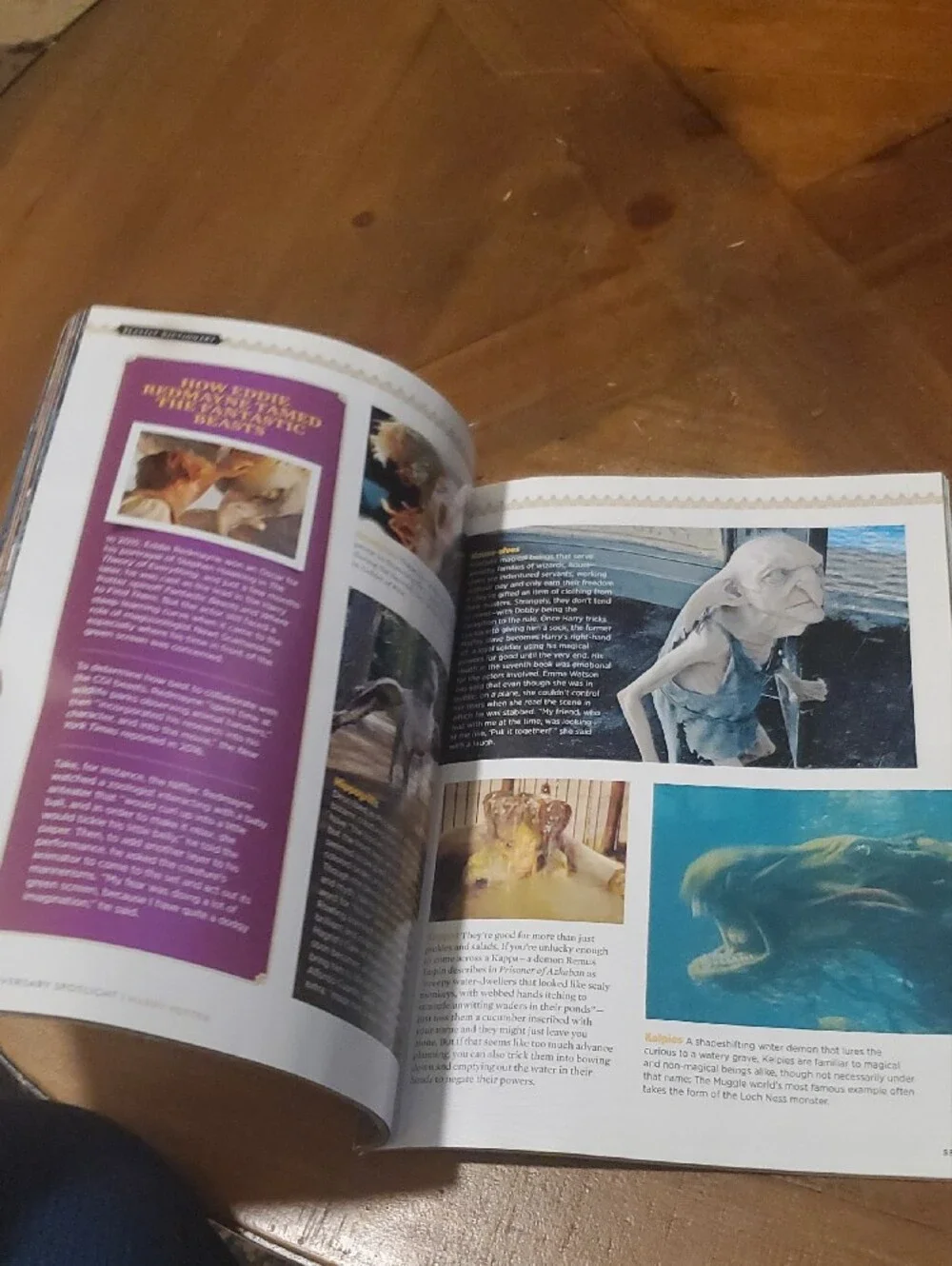 Warner Bros. Harry Potter Illustrated Guide Book - Blue and Gold